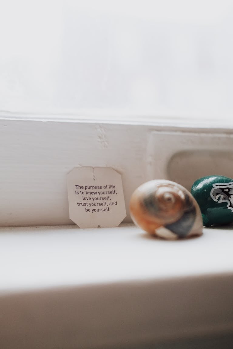 Motivational quote by window with seashell and painted stone in soft natural light.