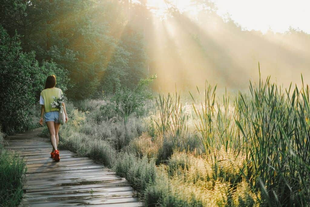 A woman enjoys a peaceful walk on a wooden path in a sunlit forest, surrounded by lush greenery.